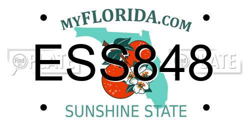 ESS848 Florida License Plate