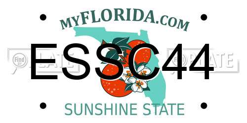 ESSC44 Florida License Plate
