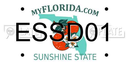 ESSD01 Florida License Plate