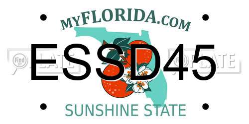 ESSD45 Florida License Plate