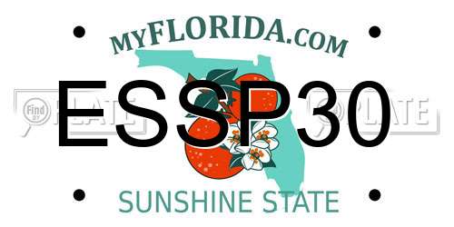 ESSP30 Florida License Plate