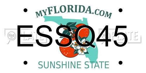 ESSQ45 Florida License Plate