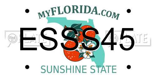 ESSS45 Florida License Plate
