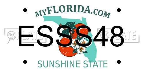 ESSS48 Florida License Plate