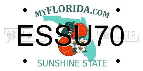 ESSU70 Florida License Plate