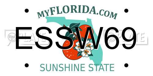 ESSW69 Florida License Plate