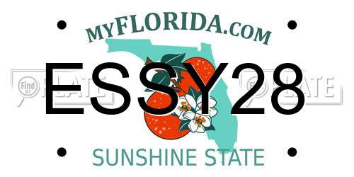 ESSY28 Florida License Plate