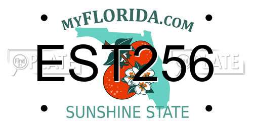 EST256 Florida License Plate