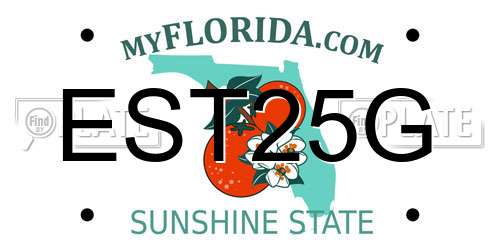 EST25G Florida License Plate