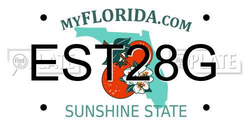 EST28G Florida License Plate