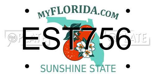 EST756 Florida License Plate