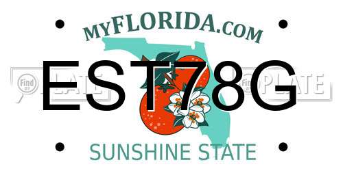 EST78G Florida License Plate