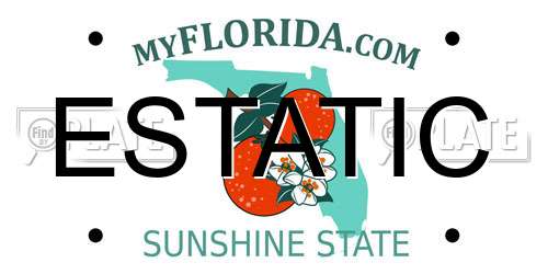 ESTATIC Florida License Plate