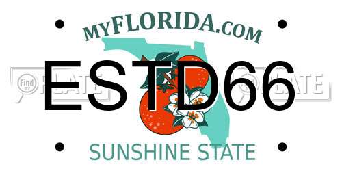 ESTD66 Florida License Plate