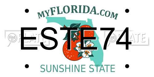 ESTE74 Florida License Plate