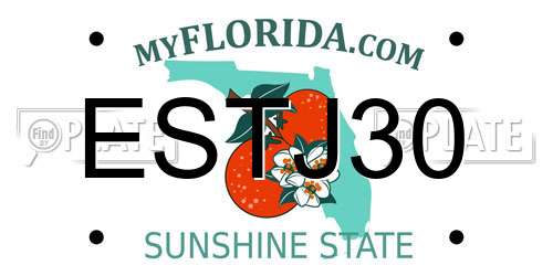 ESTJ30 Florida License Plate