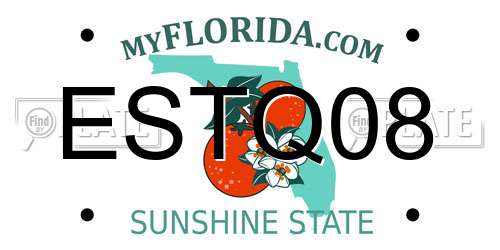 ESTQ08 Florida License Plate
