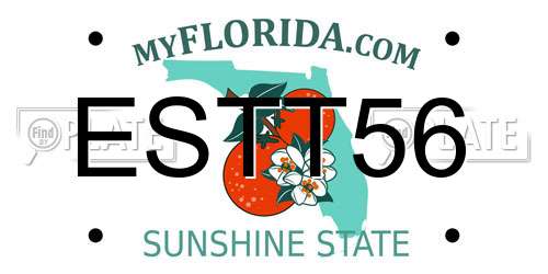ESTT56 Florida License Plate