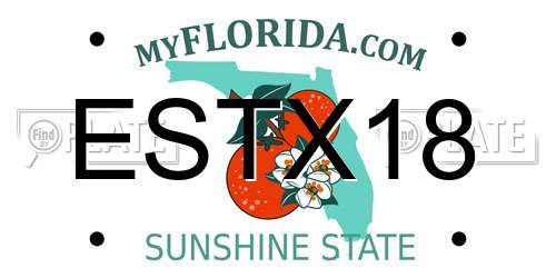 ESTX18 Florida License Plate