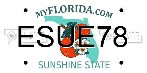 ESUE78 Florida License Plate