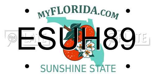 ESUH89 Florida License Plate