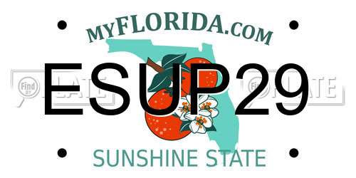 ESUP29 Florida License Plate