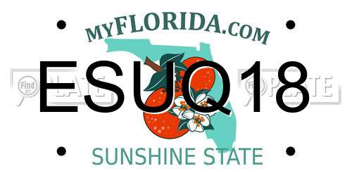 ESUQ18 Florida License Plate