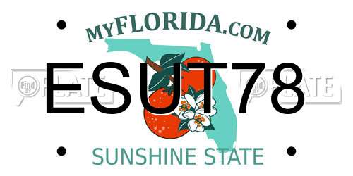 ESUT78 Florida License Plate