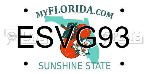 ESVG93 Florida License Plate