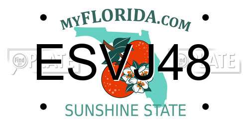 ESVJ48 Florida License Plate