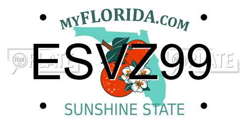 ESVZ99 Florida License Plate