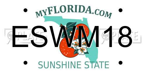 ESWM18 Florida License Plate