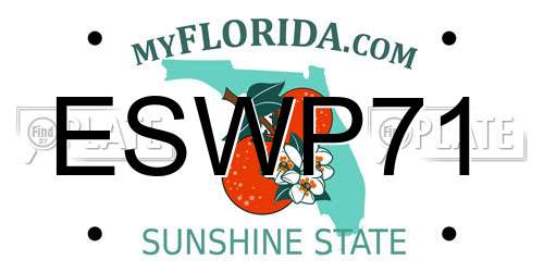 ESWP71 Florida License Plate