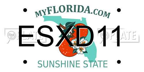 ESXD11 Florida License Plate