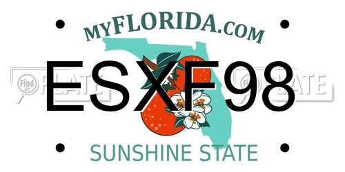 ESXF98 Florida License Plate