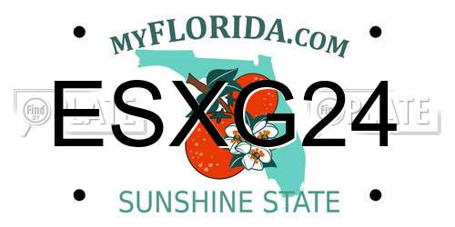 ESXG24 Florida License Plate