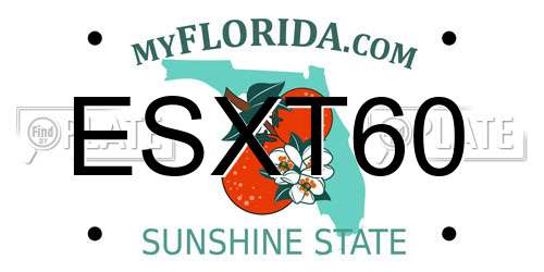 ESXT60 Florida License Plate