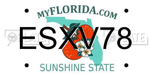 ESXV78 Florida License Plate