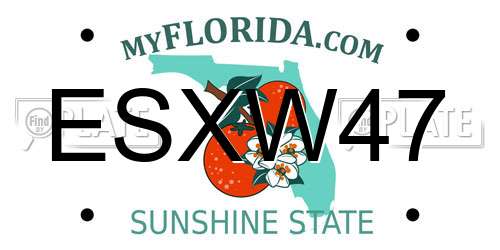 ESXW47 Florida License Plate