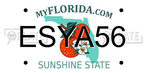 ESYA56 Florida License Plate