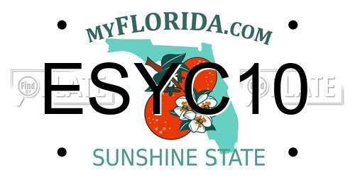 ESYC10 Florida License Plate
