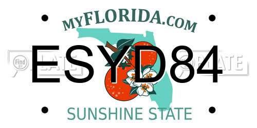 ESYD84 Florida License Plate
