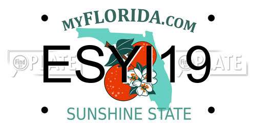 ESYI19 Florida License Plate