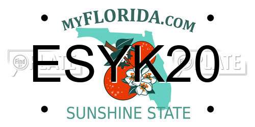 ESYK20 Florida License Plate