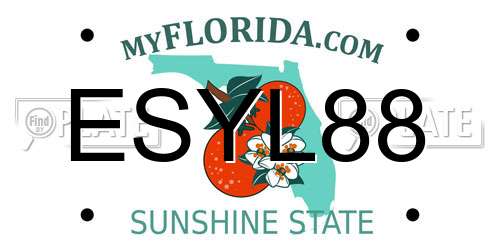 ESYL88 Florida License Plate