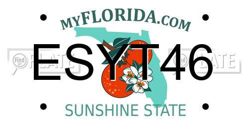ESYT46 Florida License Plate