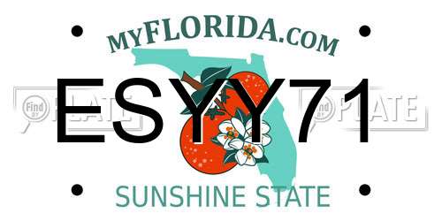 ESYY71 Florida License Plate