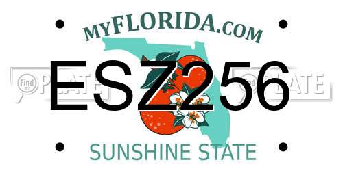 ESZ256 Florida License Plate