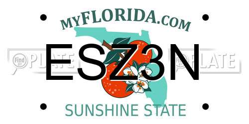 ESZ3N Florida License Plate