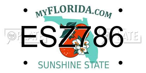 ESZ786 Florida License Plate